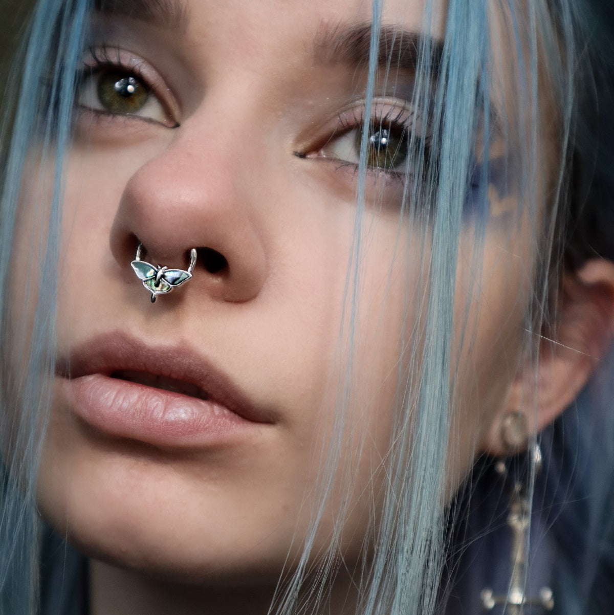 Abalone Moth Segment Septum Ring