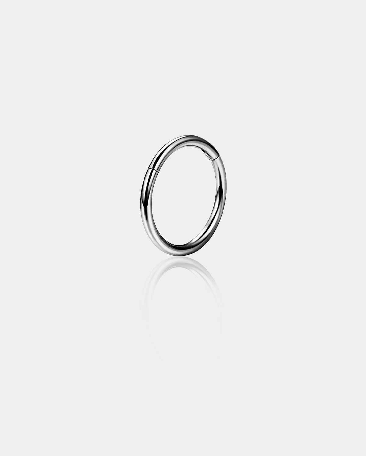 20G Titanium Hinged Segment Nose Ring