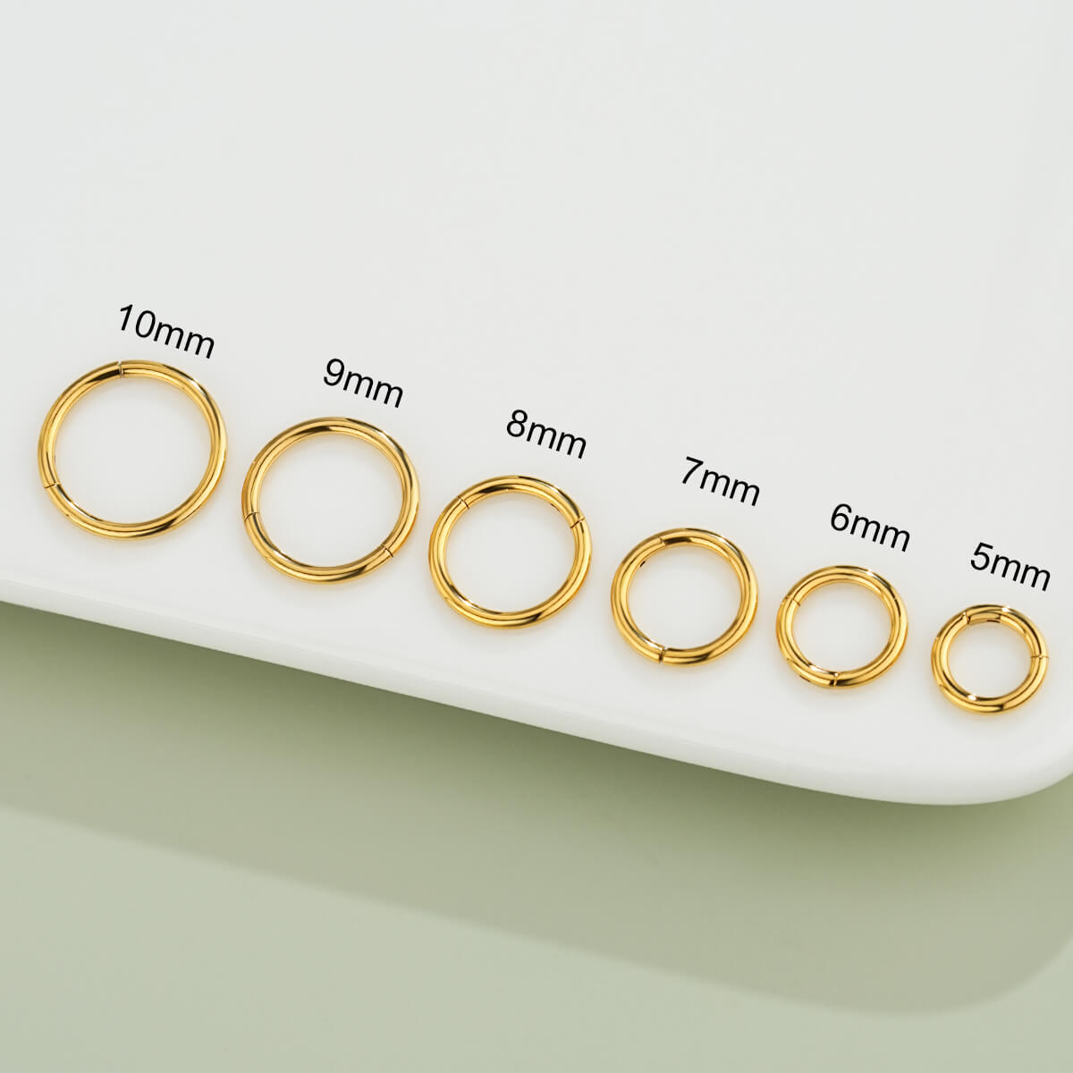 16G Classic Hinged Segment Hoop