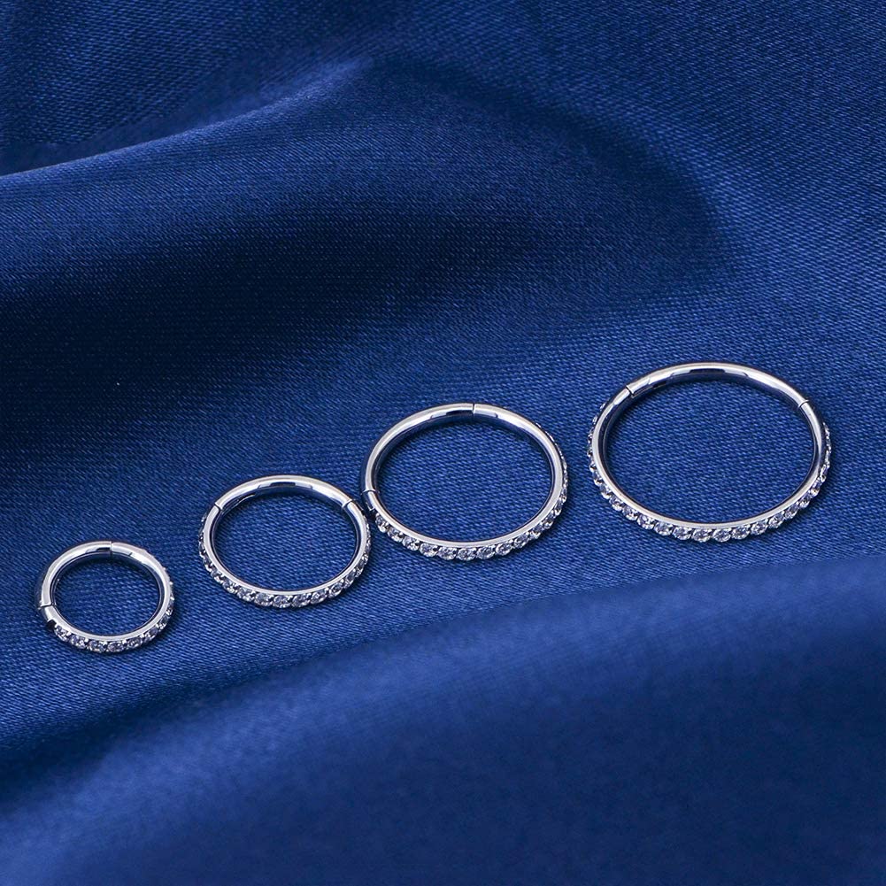 18G Black/Rainbow CZ Segment Nose Ring