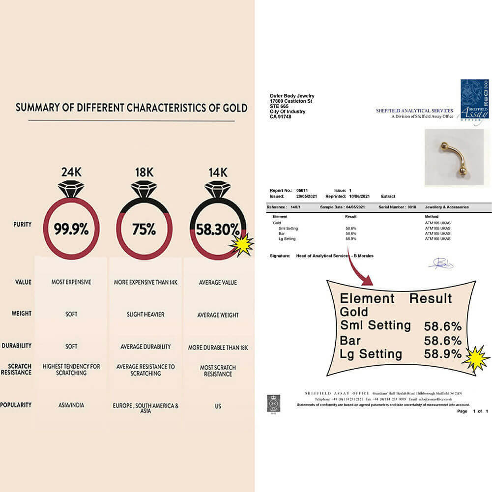 14K Gold Curved Barbells Rook Earring