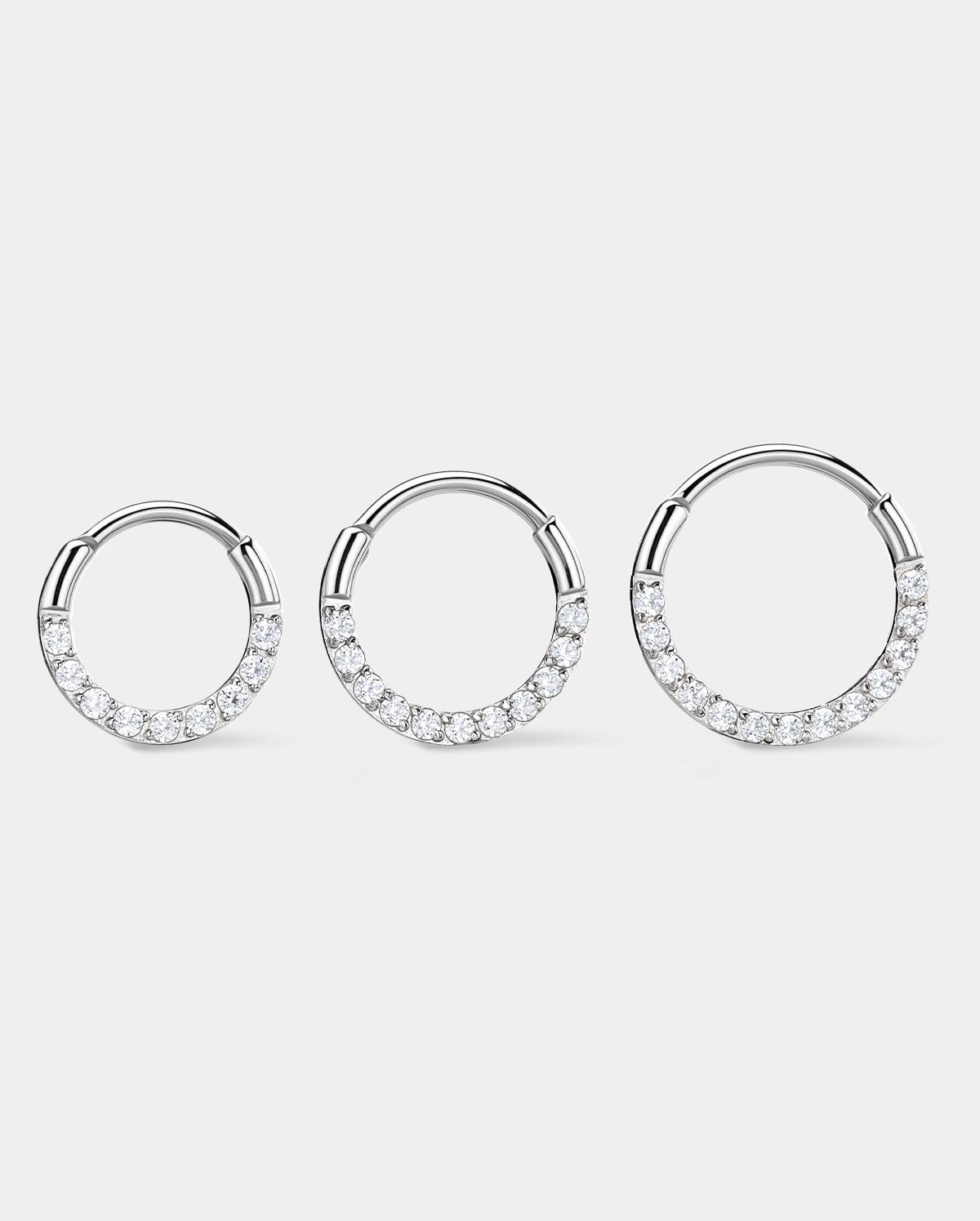 20G Front CZ Segment Nose Ring
