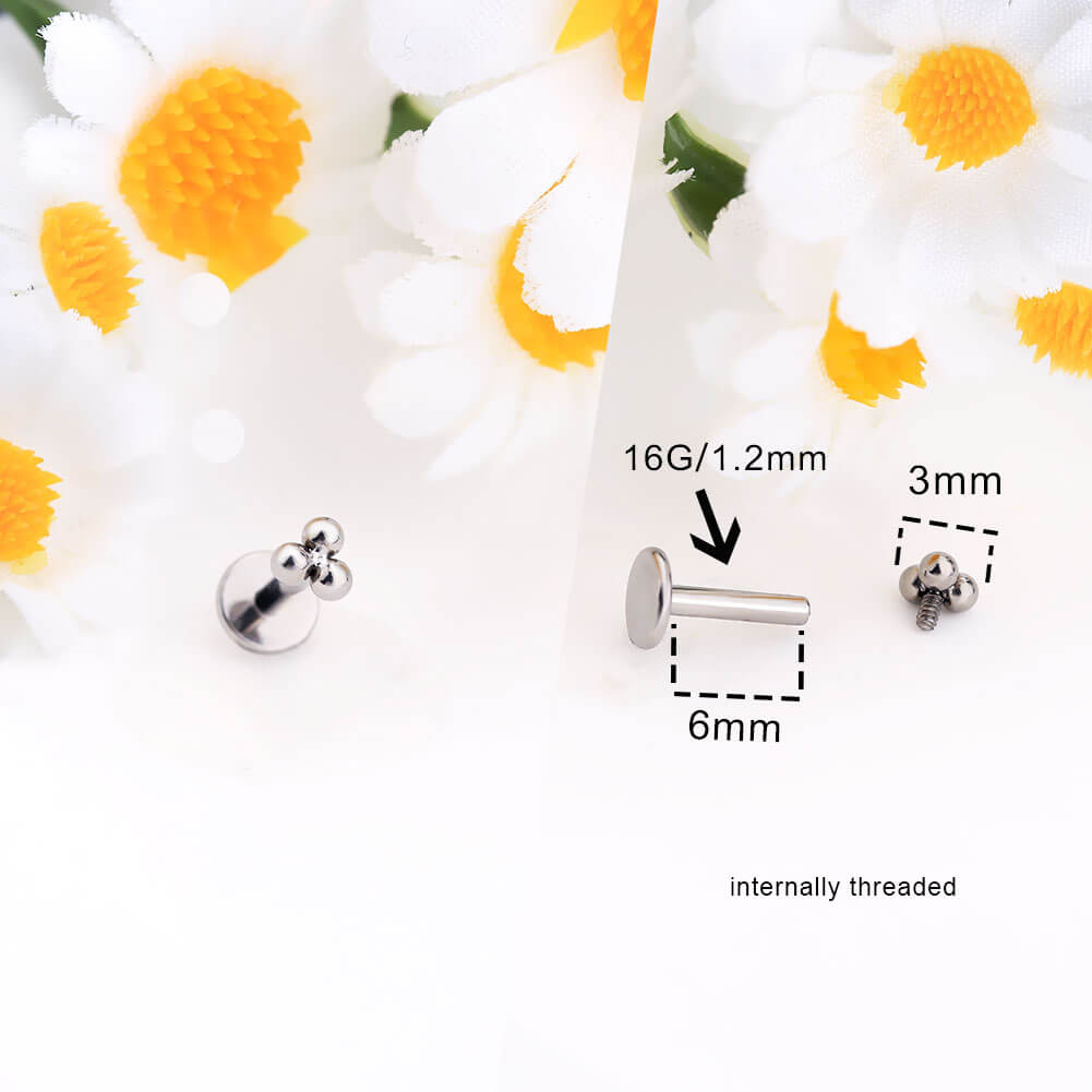 Cute Shape CZ Titanium Cartilage Stud Set